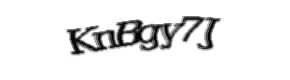 Security check image, please type the characters shown